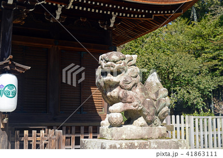 多田神社の狛犬-2 41863111