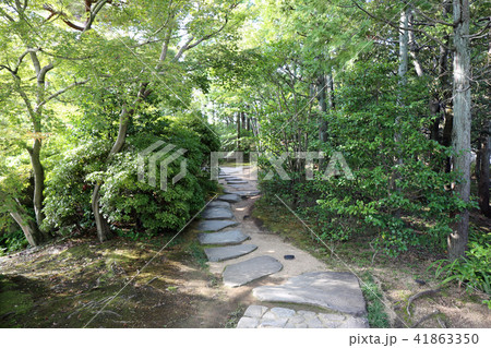 好古園の庭 好古園の庭 41863350