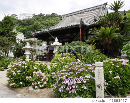 尾道 持光寺 尾道 持光寺 41863457