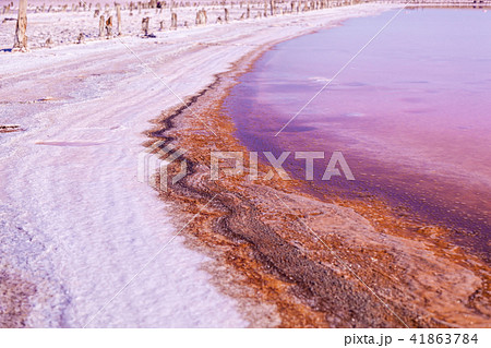 Pink salt lake 41863784