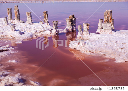 Pink salt lake Pink salt lake 41863785