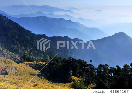 林 森 樹林 41864167