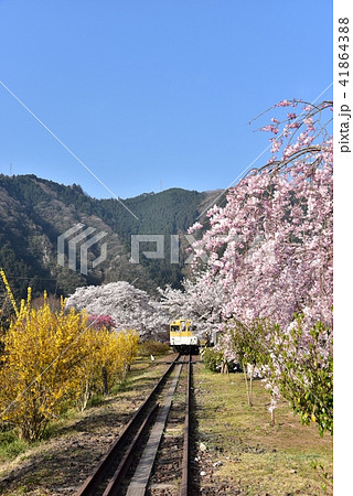 安野花の駅公園　広島　旧JR可部線安野駅　春の風景 41864388