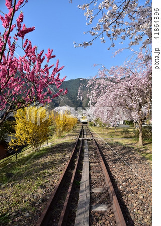 安野花の駅公園　広島　旧JR可部線安野駅　春の風景 41864396