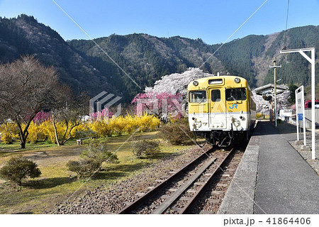 安野花の駅公園　広島　旧JR可部線安野駅　春の風景 41864406