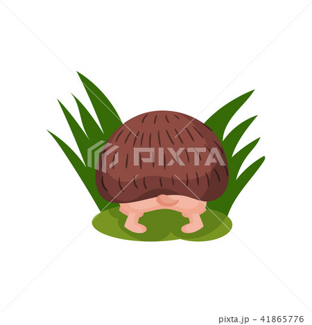 Cute hedgehog looking for something in the grass, back view, funny animal cartoon character vector Cute hedgehog looking for something in the grass, back view, funny animal cartoon character vector 41865776