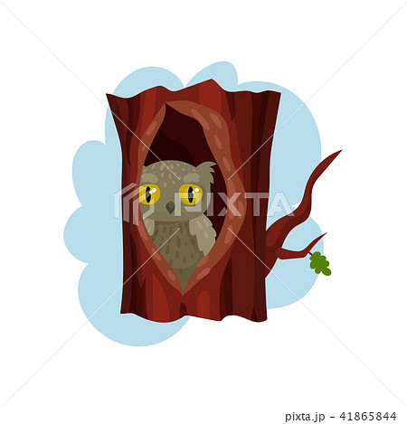 Cute owlet sitting in hollow of tree, hollowed out old tree and owl inside vector Illustration on a 41865844