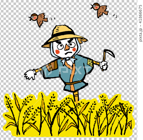 稲穂と案山子　懐かしき風景 41866675