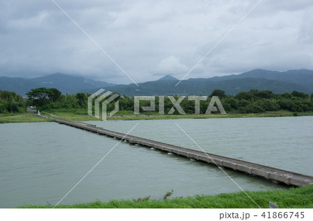 増水した吉野川　川島潜水橋(徳島県吉野川市から撮影) 41866745