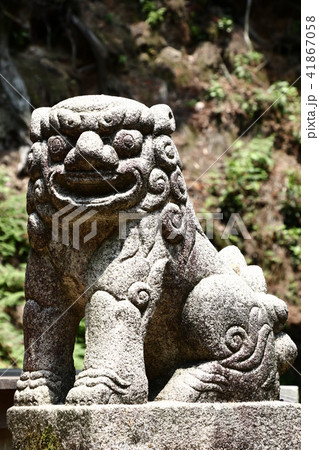 若天社の獅子 41867058