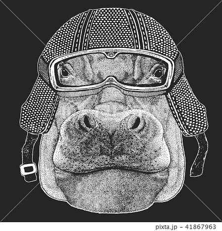 Hippo, Hippopotamus, behemoth, river-horse. Vintage motorcycle hemlet. Retro style illustration with Hippo, Hippopotamus, behemoth, river-horse. Vintage motorcycle hemlet. Retro style illustration with 41867963