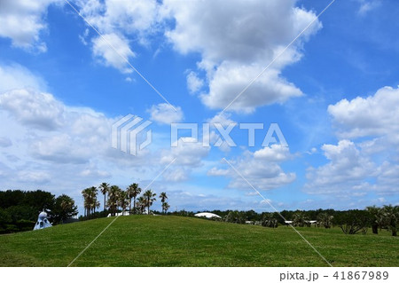 初夏の辻堂海浜公園 41867989