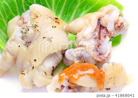 豚足 41868041