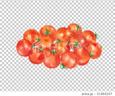 ミニトマト 野菜のイラスト素材