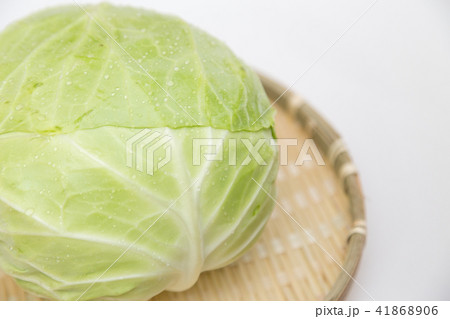 キャベツ 41868906