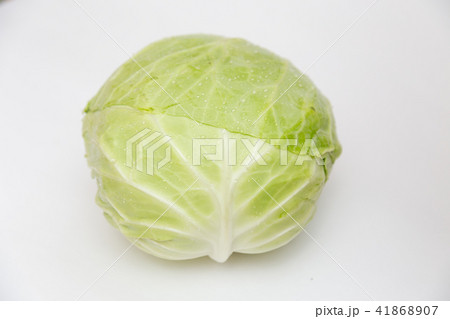 キャベツ 41868907