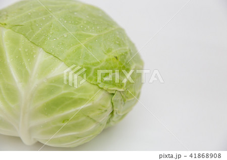 キャベツ キャベツ 41868908