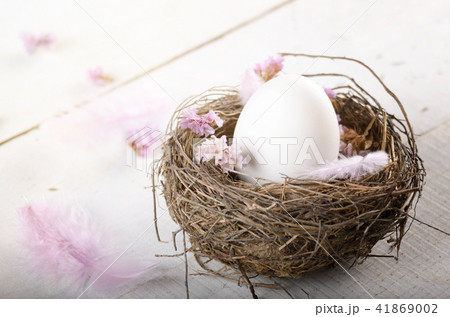Egg in the nest with pink flowers and feather Egg in the nest with pink flowers and feather 41869002