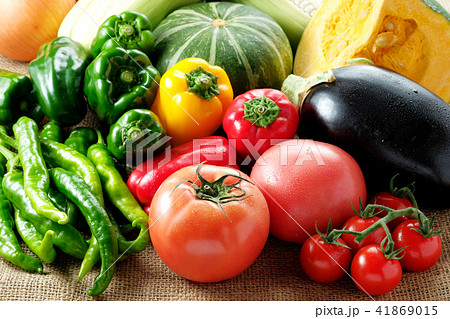 夏野菜 夏野菜 41869015
