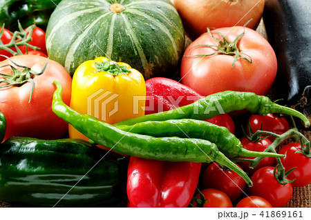 夏野菜 夏野菜 41869161