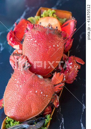 Red Frog Crab 41870512