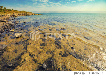 Rocky seashore. Sea of Galilee in Tabgha, Israel 41870783