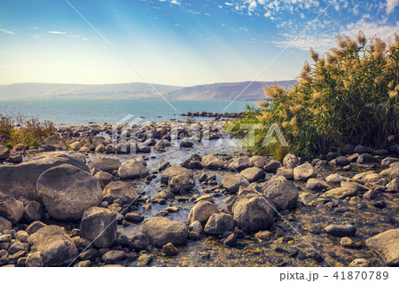 The coast of the Sea of Galilee 41870789
