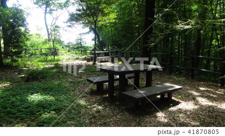 森のベンチと椅子 41870805