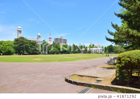 仙台　榴ヶ岡公園 41871292