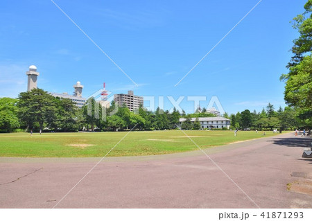 仙台 榴ヶ岡公園 仙台 榴ヶ岡公園 41871293
