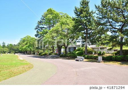 仙台 榴ヶ岡公園 仙台 榴ヶ岡公園 41871294