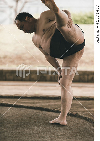 Sumo wrestling 41871467