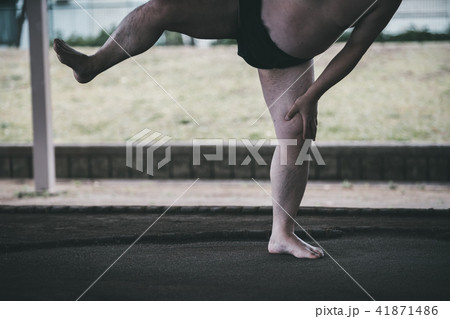 Sumo wrestling Sumo wrestling 41871486