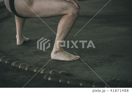 Sumo wrestling Sumo wrestling 41871488