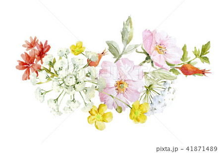 Watercolor floral composition 41871489
