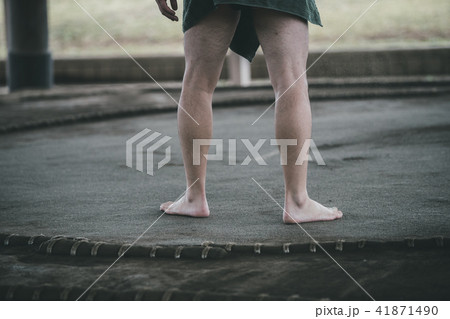Sumo wrestling Sumo wrestling 41871490