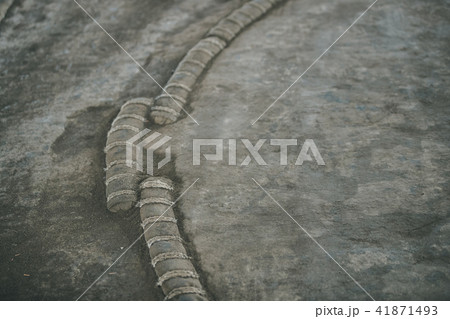 Sumo wrestling Sumo wrestling 41871493