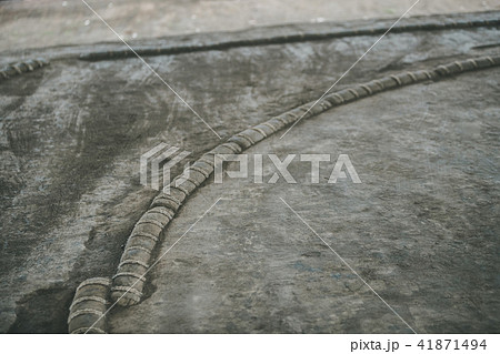 Sumo wrestling Sumo wrestling 41871494