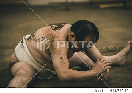 Sumo wrestling Sumo wrestling 41871516