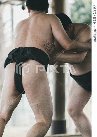 Sumo wrestling Sumo wrestling 41871597