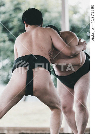 Sumo wrestling Sumo wrestling 41871599
