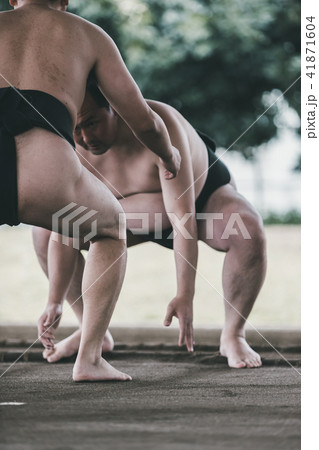 Sumo wrestling 41871604