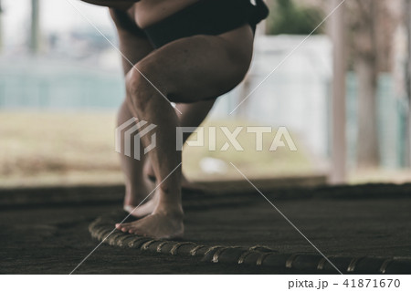 Sumo wrestling 41871670