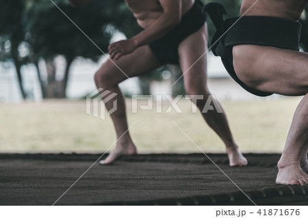 Sumo wrestling Sumo wrestling 41871676