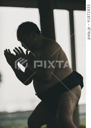 Sumo wrestling 41871833