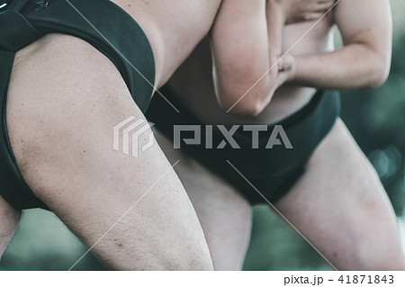 Sumo wrestling Sumo wrestling 41871843