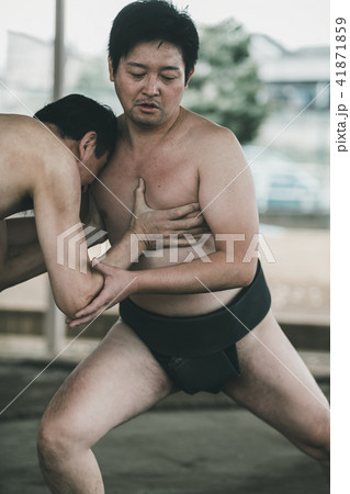 Sumo wrestling Sumo wrestling 41871859
