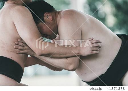 Sumo wrestling 41871878