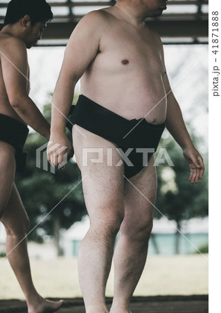 Sumo wrestling 41871888