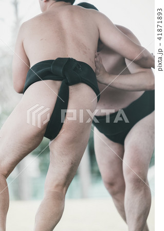 Sumo wrestling 41871893